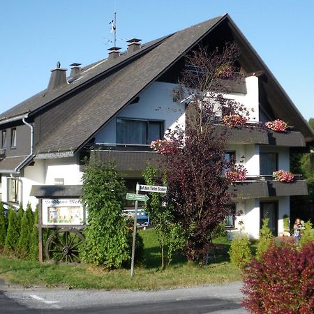 Ferienwohnungen Landhaus Meran Inkl Meinecardplus Willingen  Kültér fotó