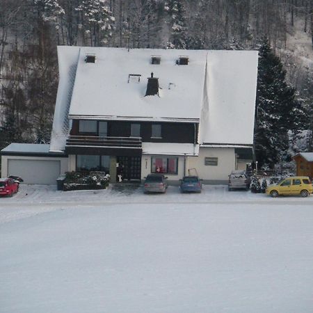 Ferienwohnungen Landhaus Meran Inkl Meinecardplus Willingen  Kültér fotó