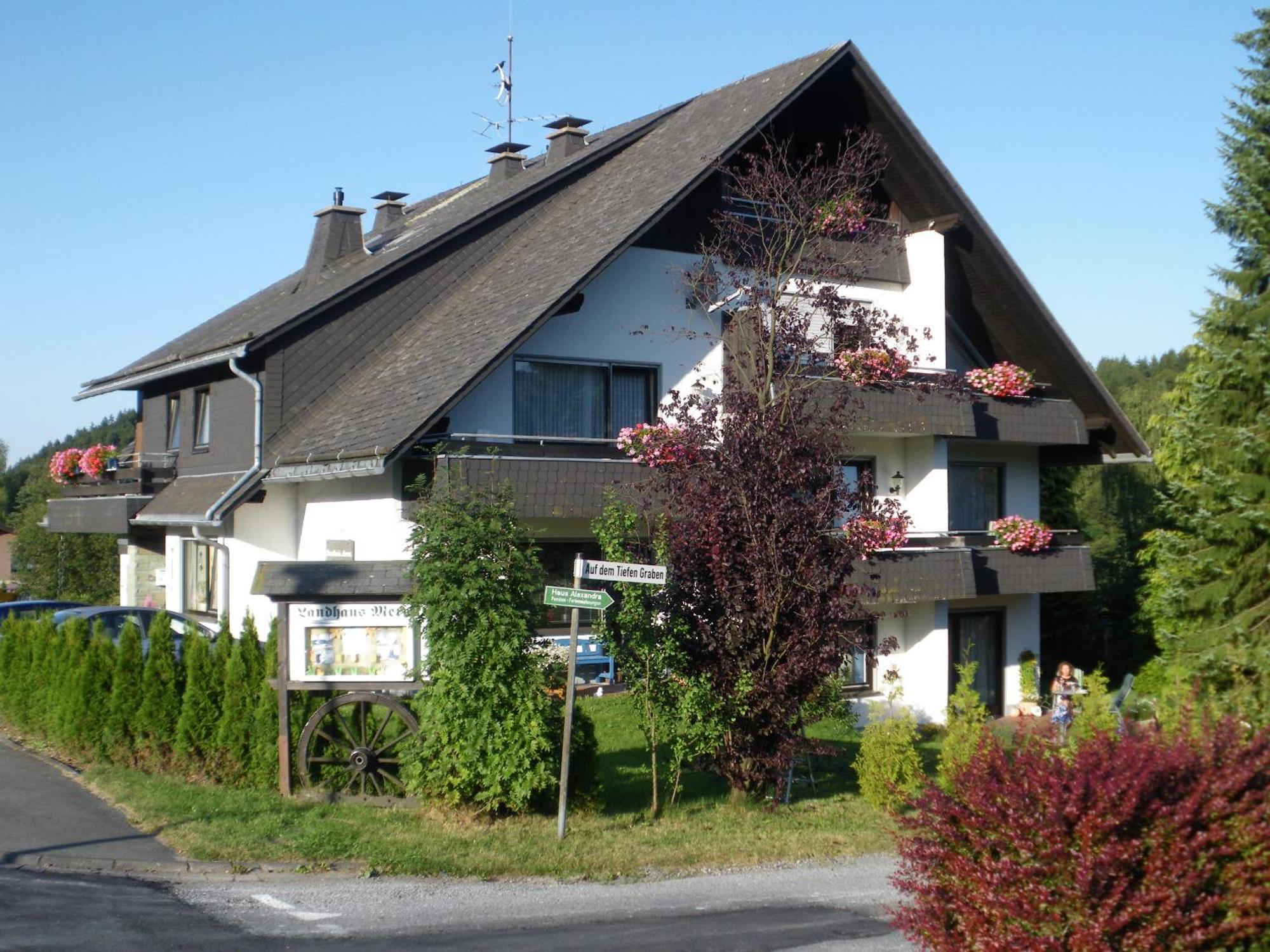Ferienwohnungen Landhaus Meran Inkl Meinecardplus Willingen  Kültér fotó