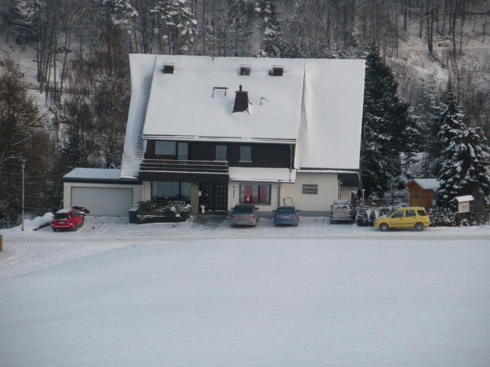 Ferienwohnungen Landhaus Meran Inkl Meinecardplus Willingen  Kültér fotó