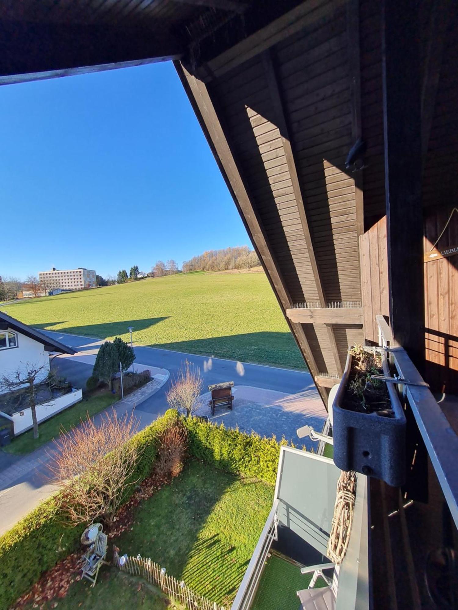 Ferienwohnungen Landhaus Meran Inkl Meinecardplus Willingen  Kültér fotó