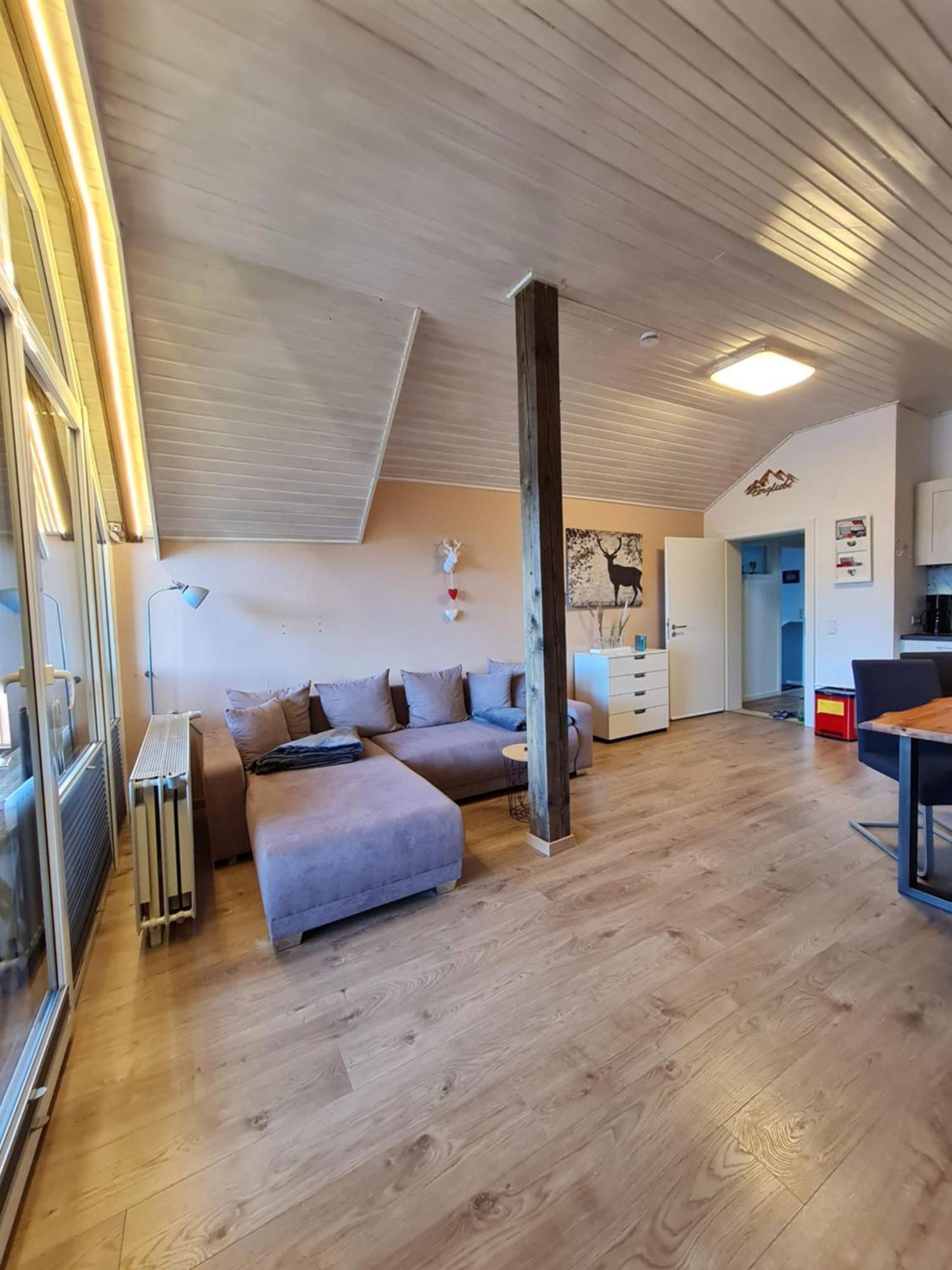 Ferienwohnungen Landhaus Meran Inkl Meinecardplus Willingen  Kültér fotó