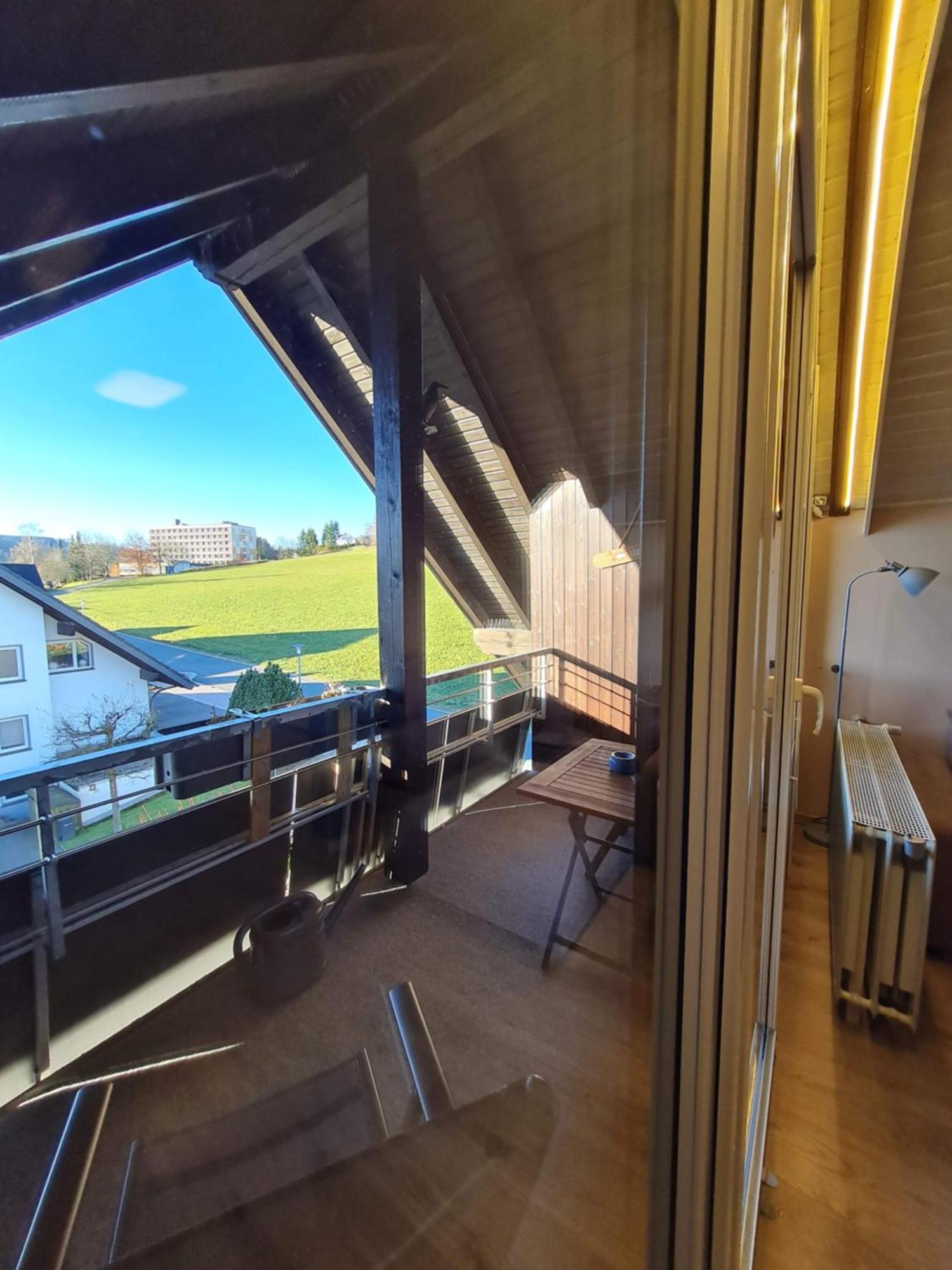 Ferienwohnungen Landhaus Meran Inkl Meinecardplus Willingen  Kültér fotó