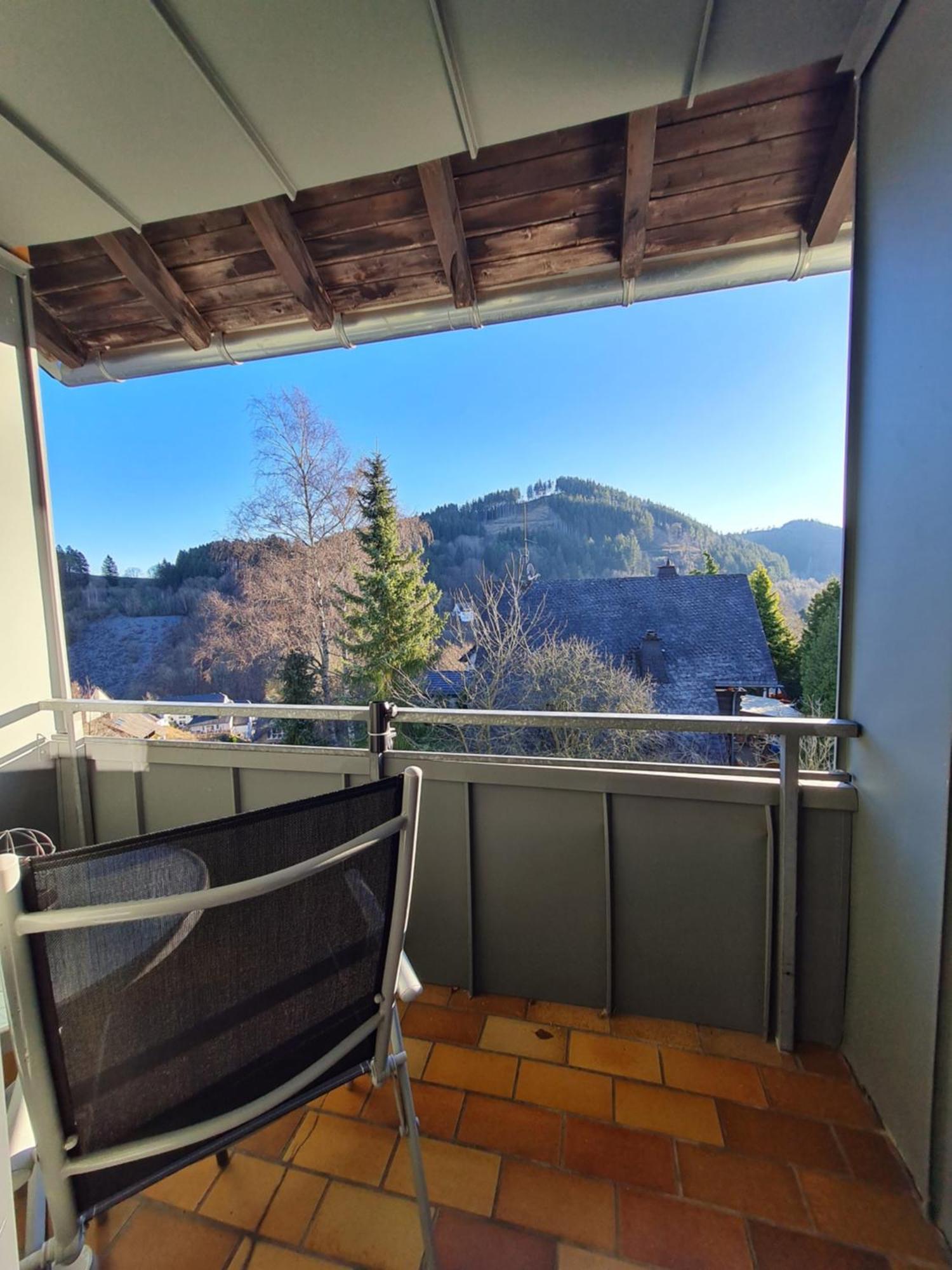 Ferienwohnungen Landhaus Meran Inkl Meinecardplus Willingen  Kültér fotó