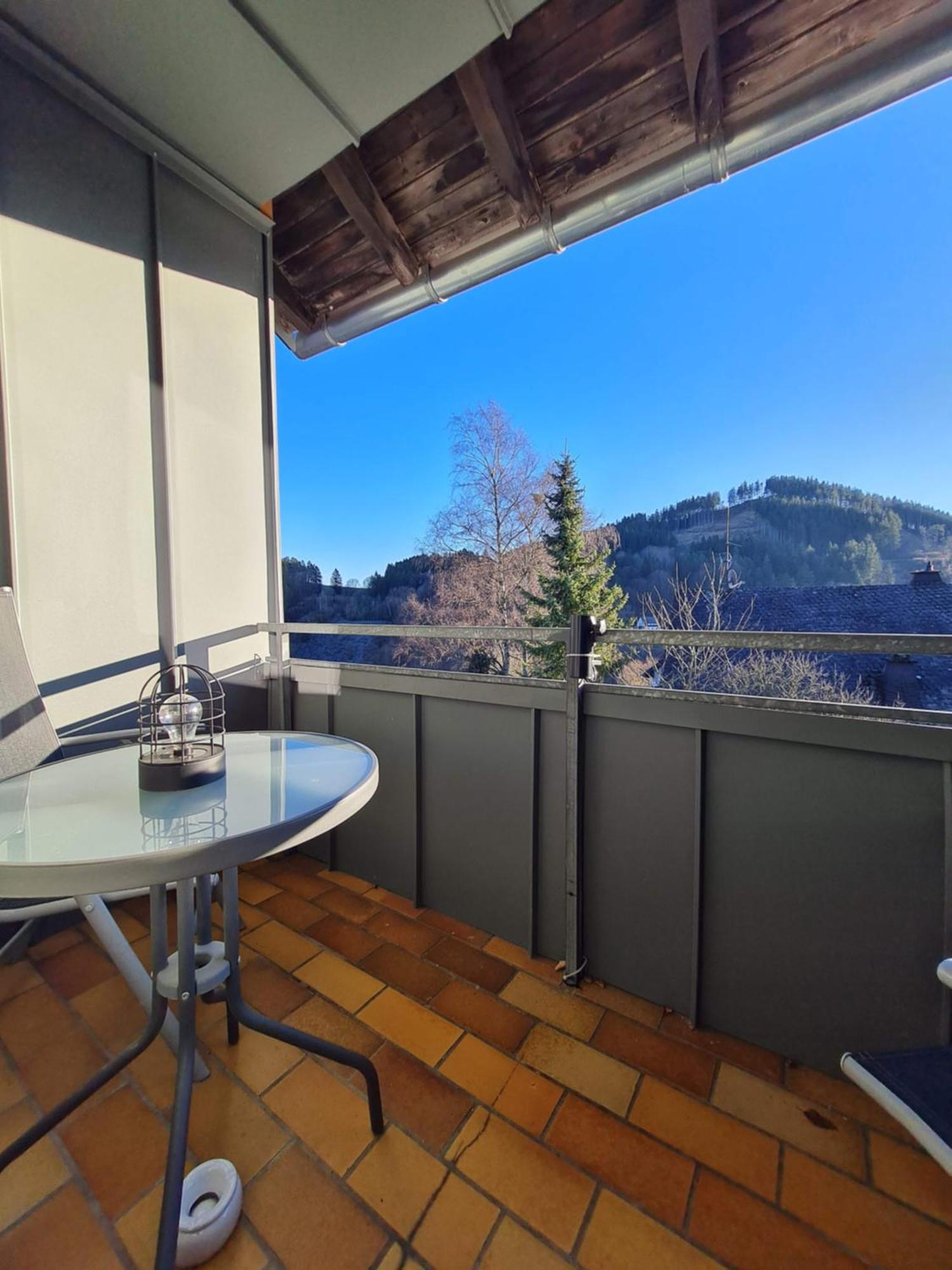 Ferienwohnungen Landhaus Meran Inkl Meinecardplus Willingen  Kültér fotó