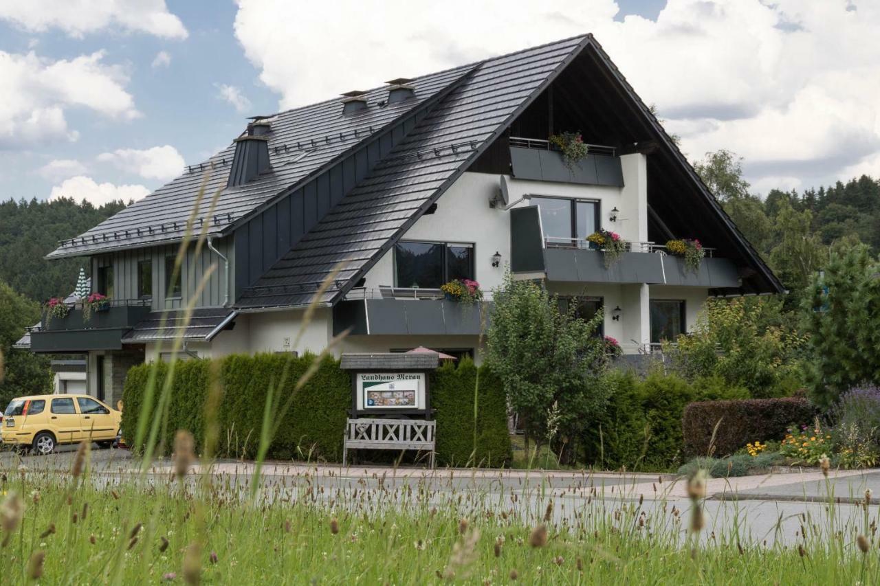 Ferienwohnungen Landhaus Meran Inkl Meinecardplus Willingen  Kültér fotó